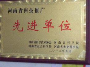 先进单位